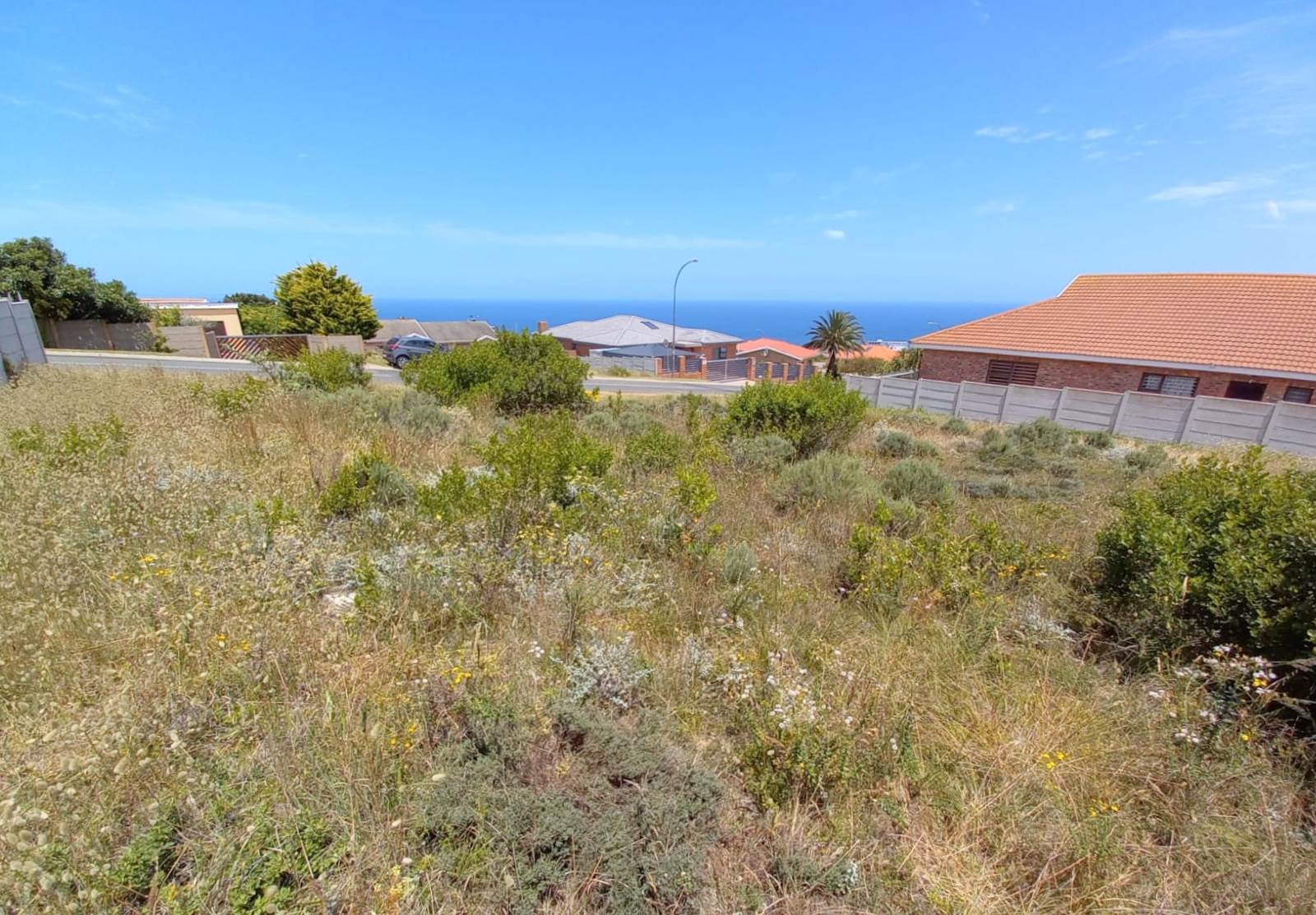 771 m² Land available in Dana Bay photo number 7