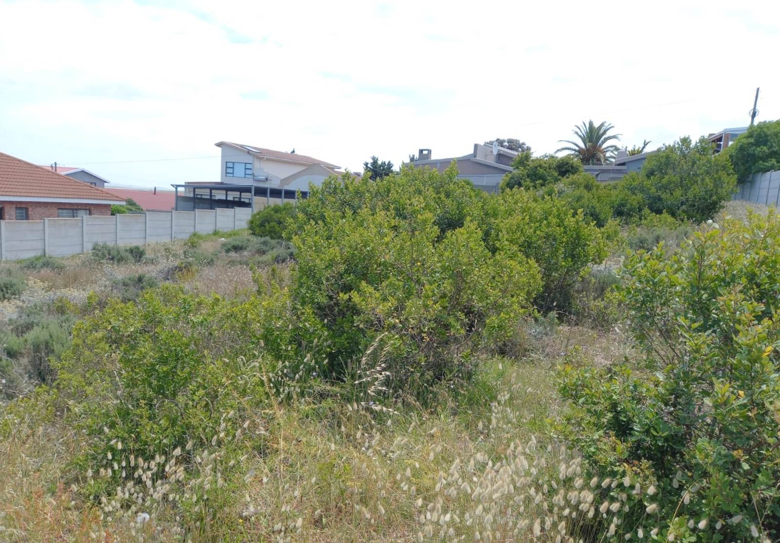 771 m² Land available in Dana Bay photo number 8