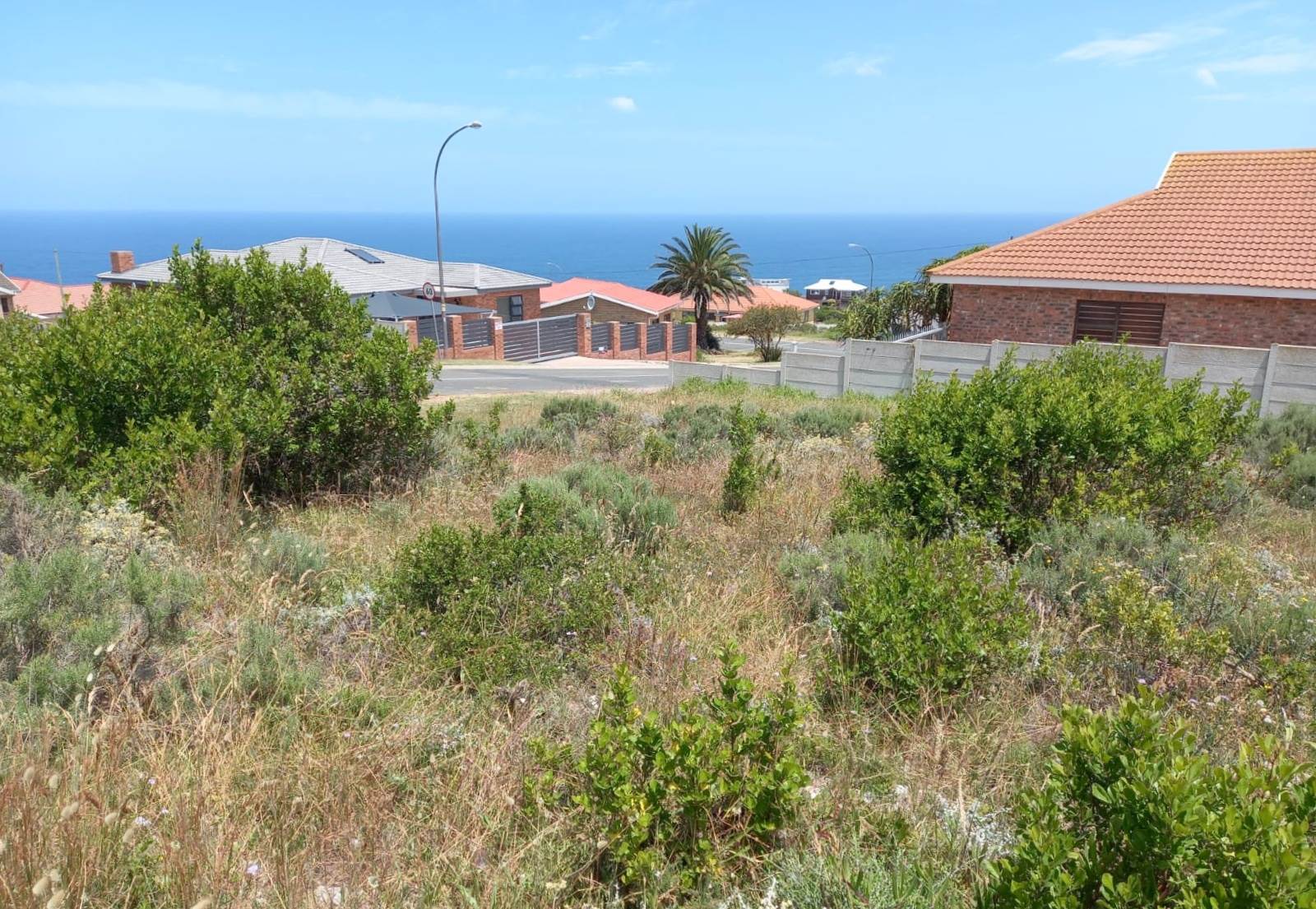 771 m² Land available in Dana Bay photo number 2