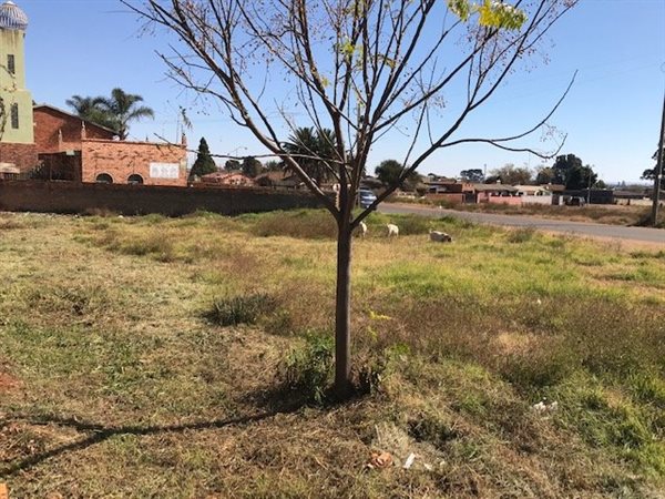 558 m² Land