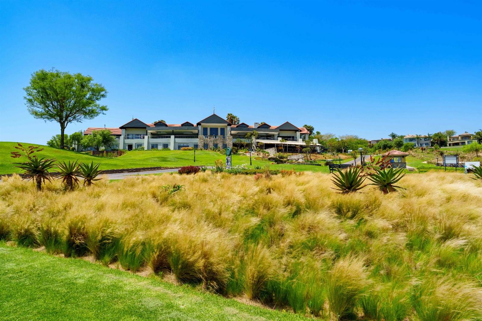 649 m² Land available in Eagle Canyon Golf Estate photo number 1