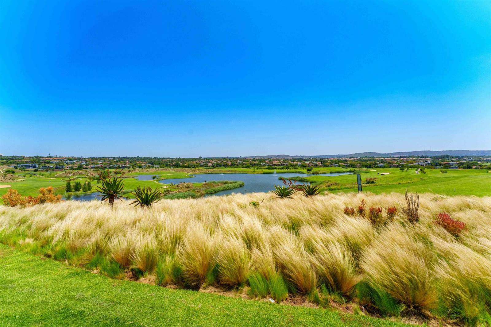 649 m² Land available in Eagle Canyon Golf Estate photo number 2