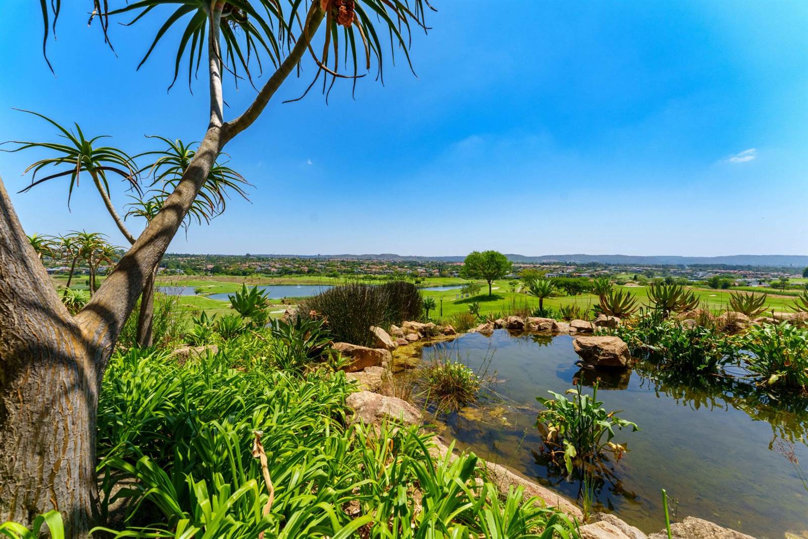 649 m² Land available in Eagle Canyon Golf Estate photo number 6
