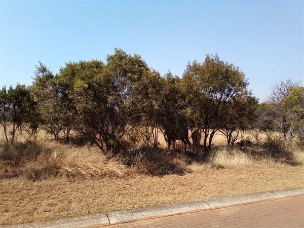 1 084 m² Land