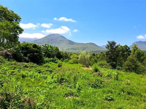 3.9 ha Land available in Blanco