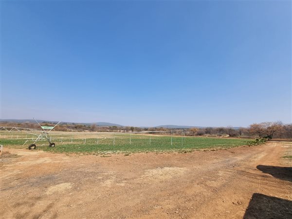 14 ha Land available in Olifantsfontein