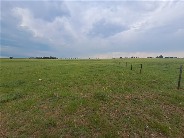 1.3 ha Land 1.3 ha Land