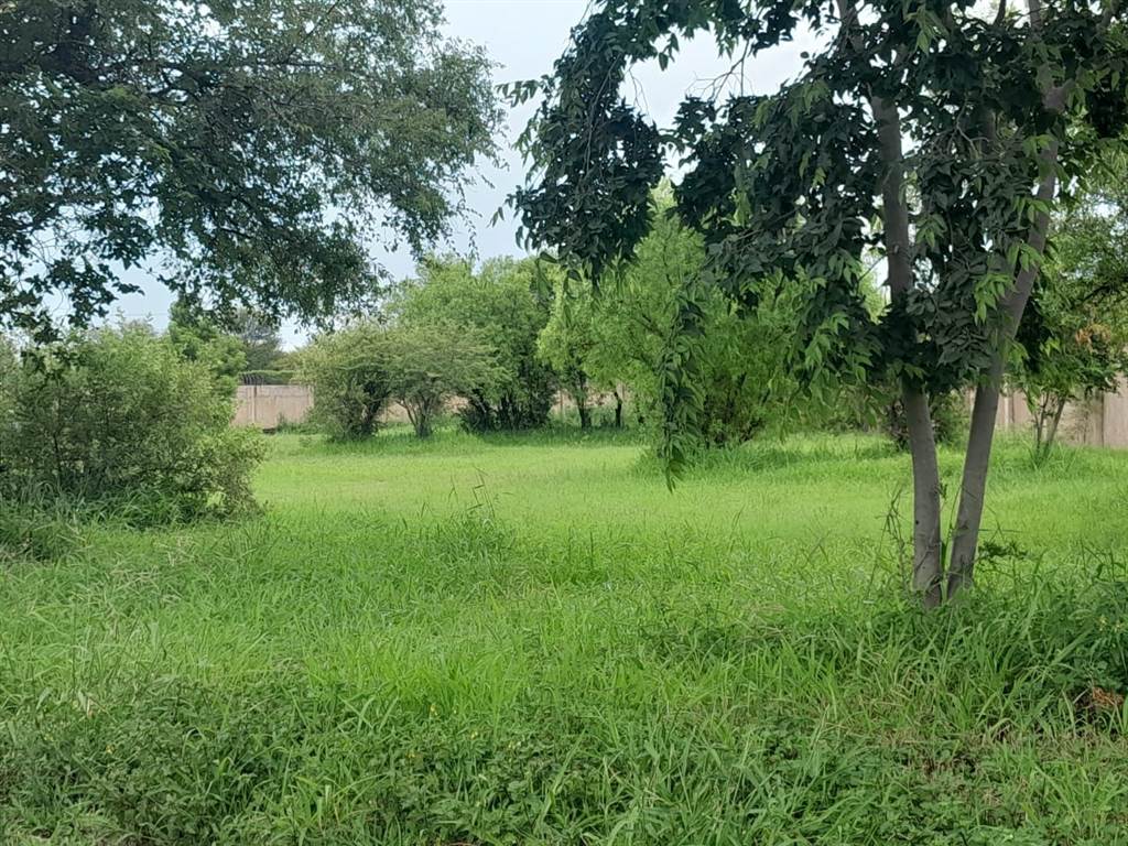 765 m² Land available in Bela-Bela (Warmbaths) photo number 3