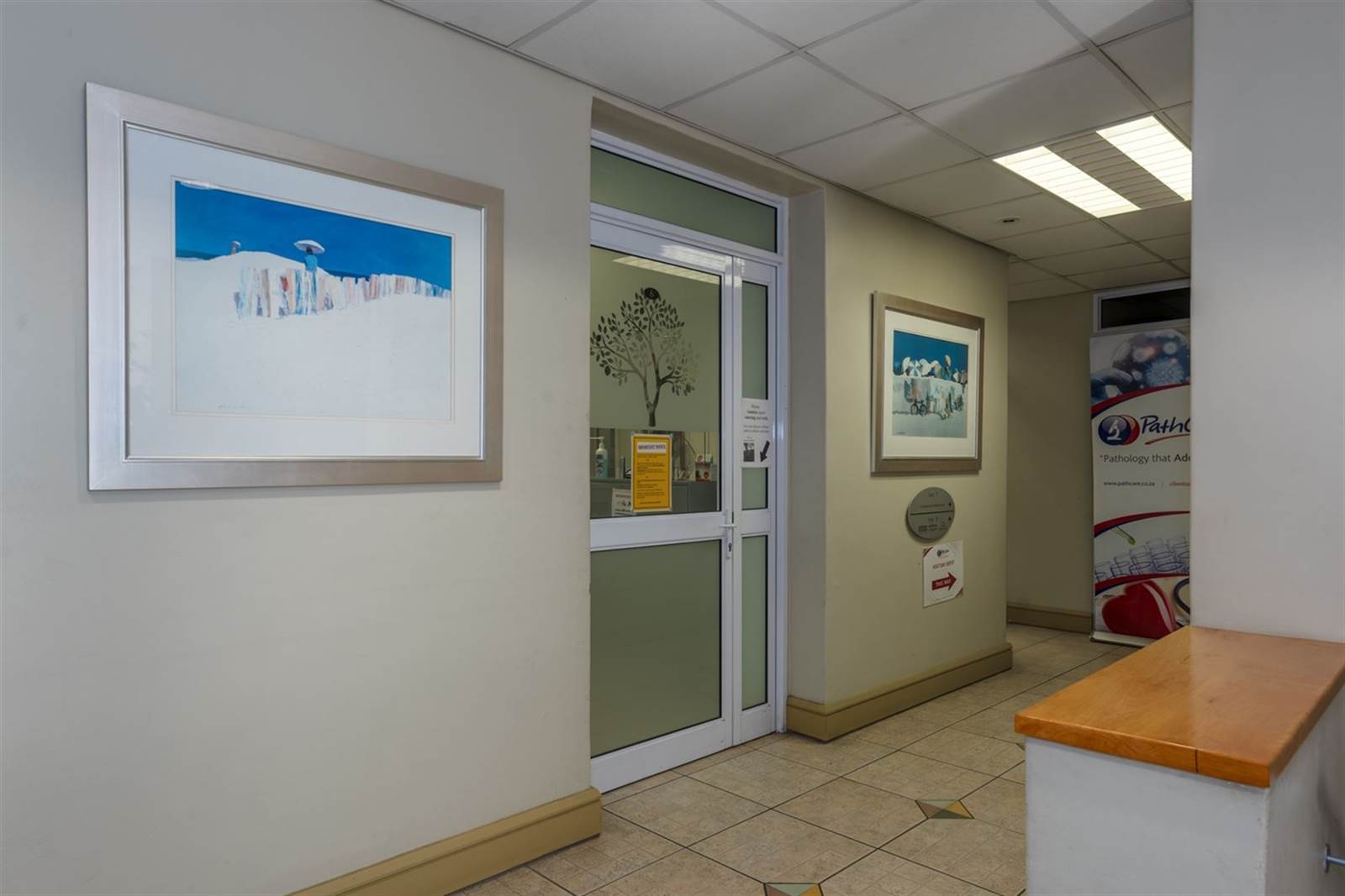 192  m² Commercial space in Hout Bay and surrounds photo number 4