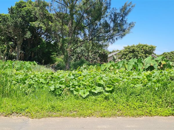 1064 m² Land available in Port Edward