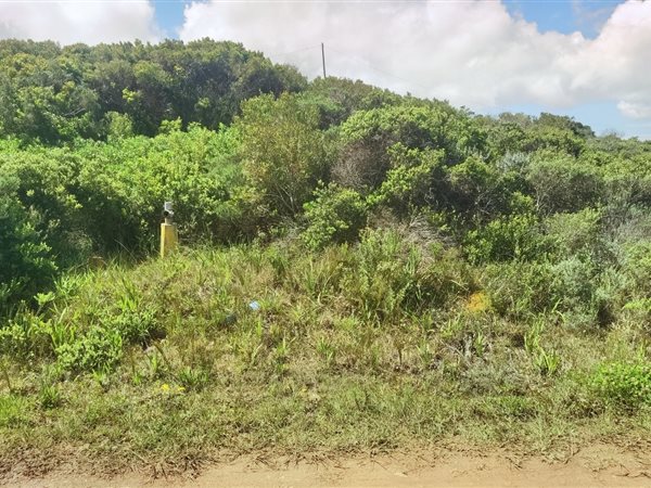607 m² Land available in Oyster Bay