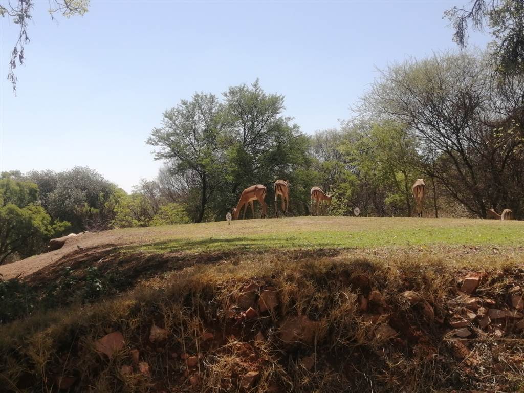 922 m² Land available in Seasons Lifestyle Estate photo number 3