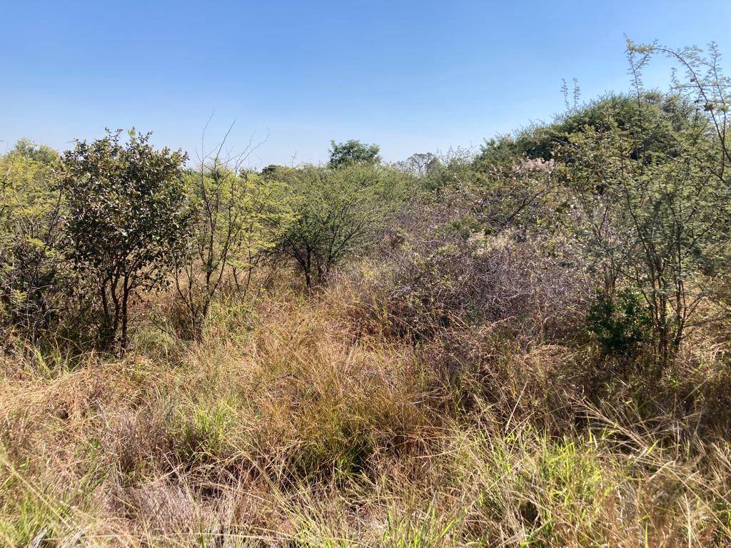 909 m² Land available in Seasons Lifestyle Estate photo number 3