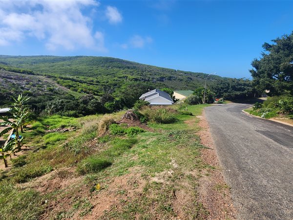 1090 m² Land available in Dana Bay
