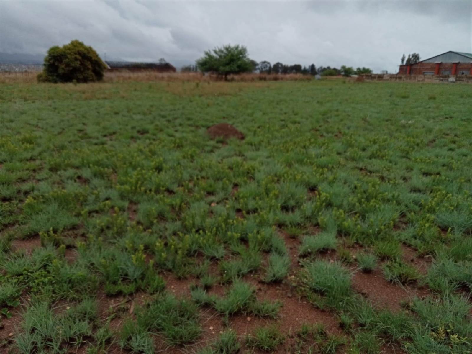 2000 m² Land available in Lydenburg photo number 2