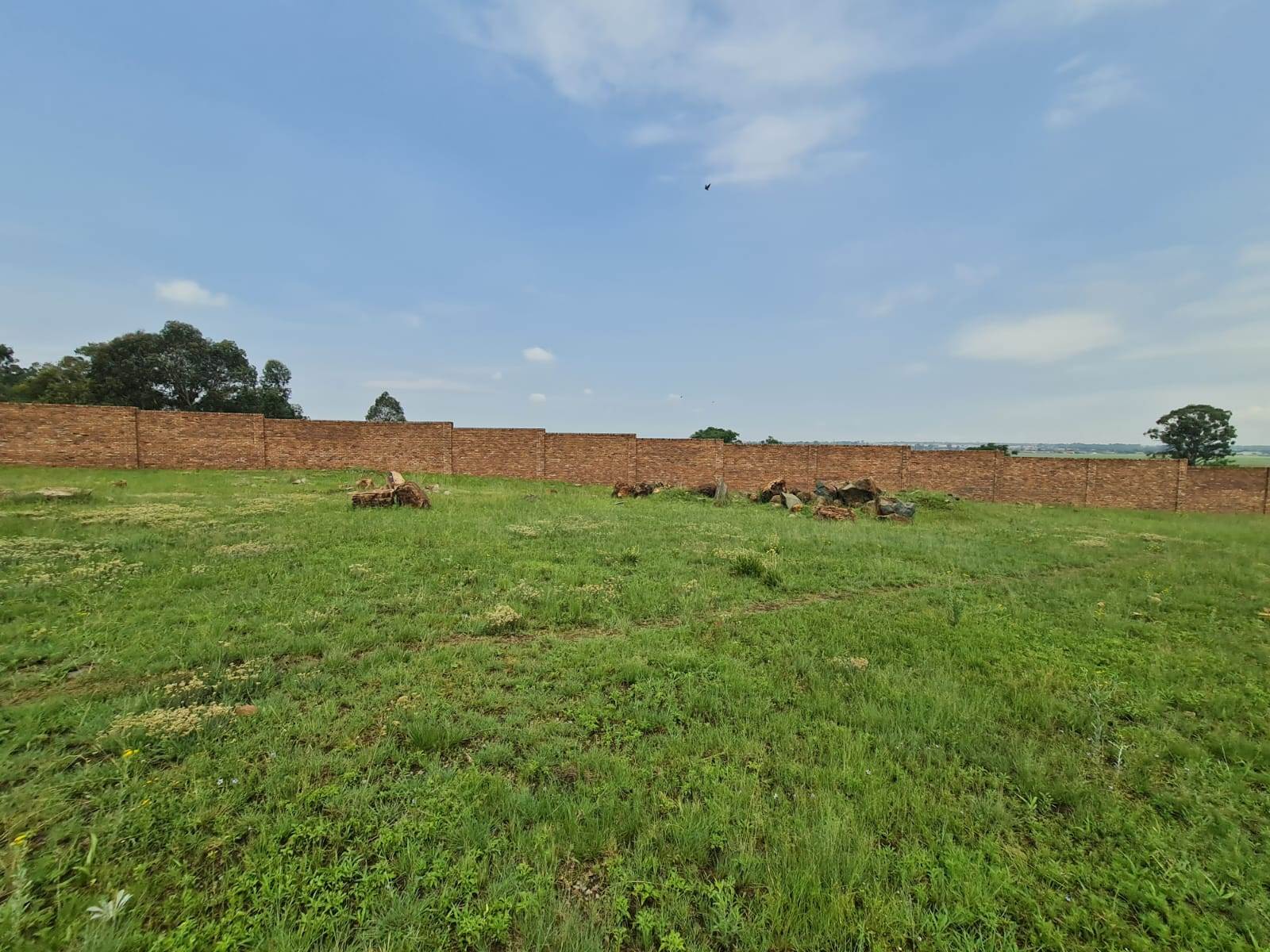 5059 m² Land available in Wadeville photo number 8