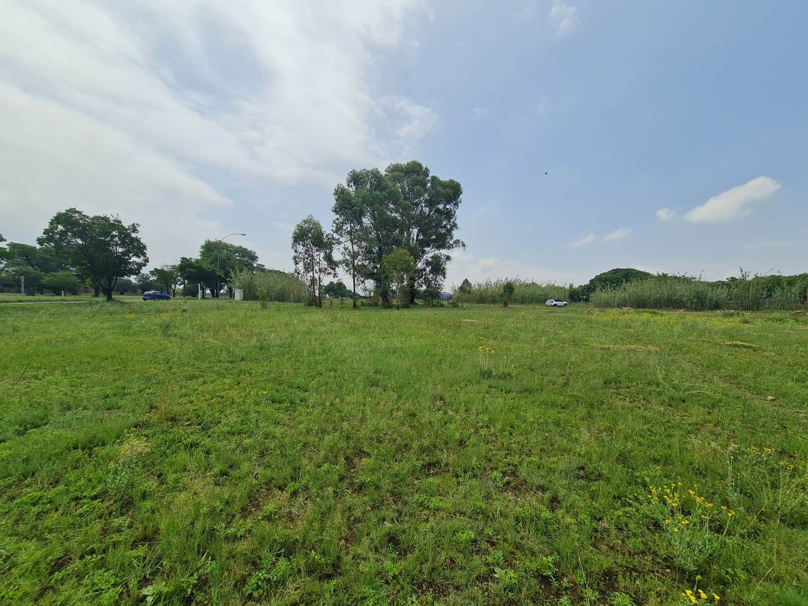 5059 m² Land available in Wadeville photo number 2