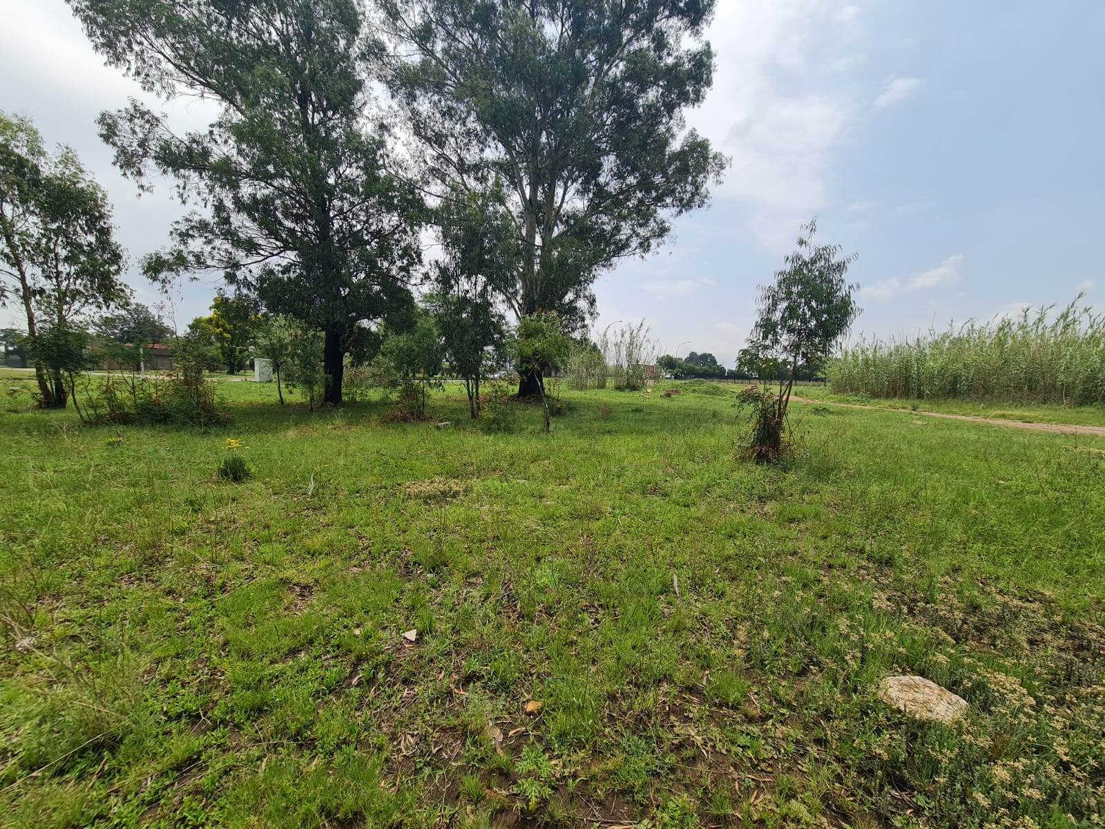 5059 m² Land available in Wadeville photo number 6