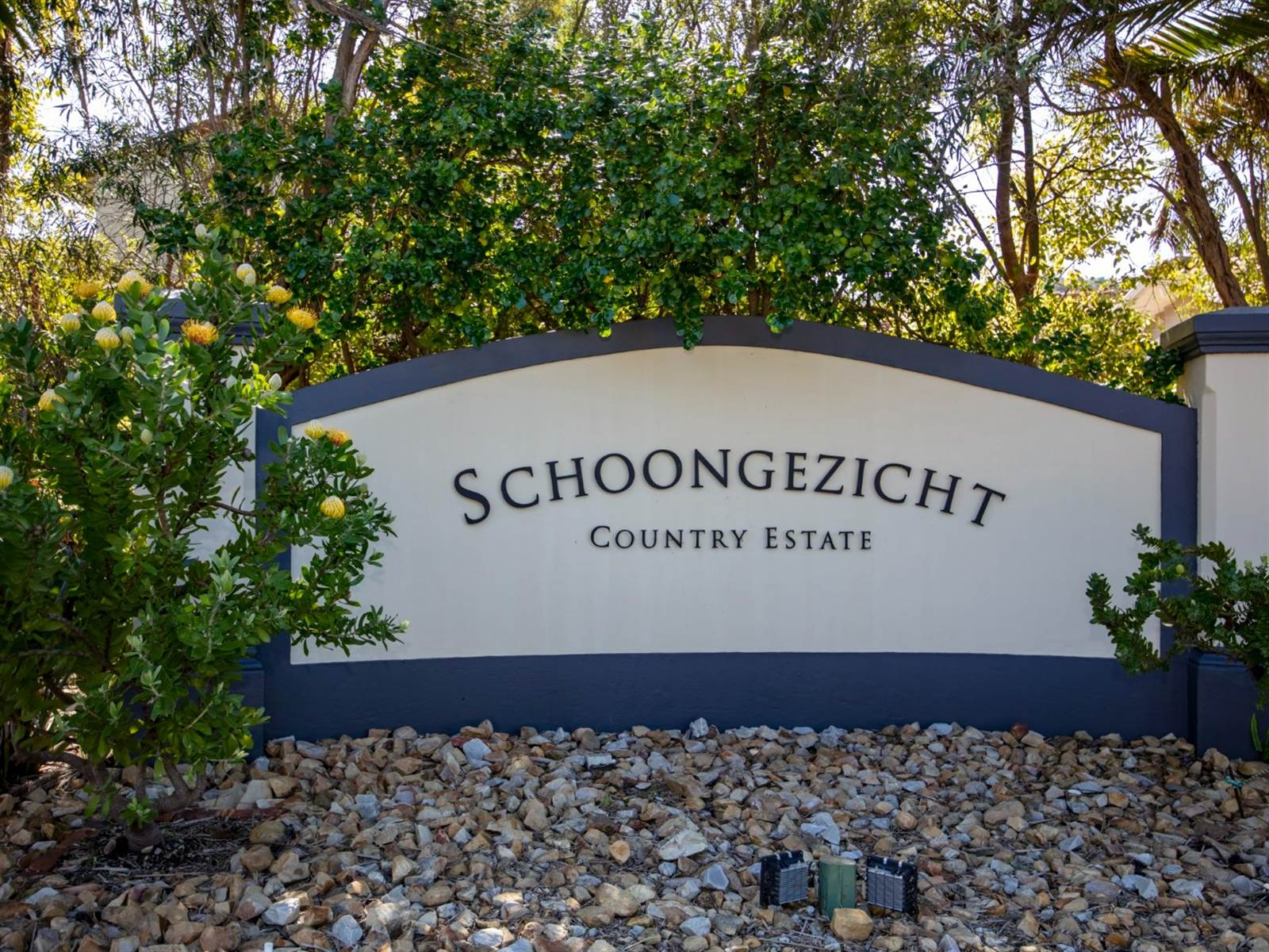1650 m² Land available in Schoongezicht photo number 20