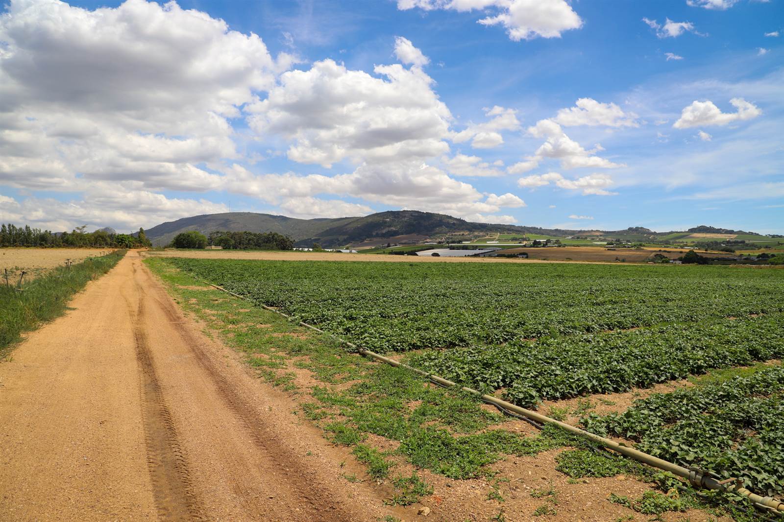 16 ha Farm in Northern Paarl photo number 10