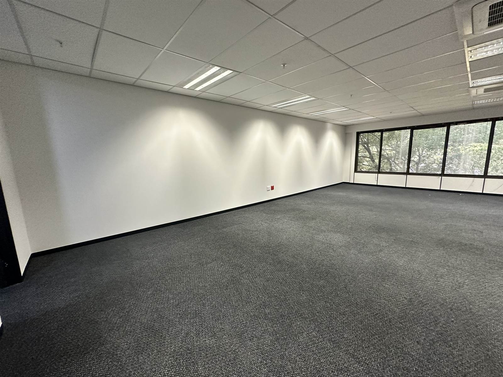 161  m² Commercial space in Parktown photo number 4