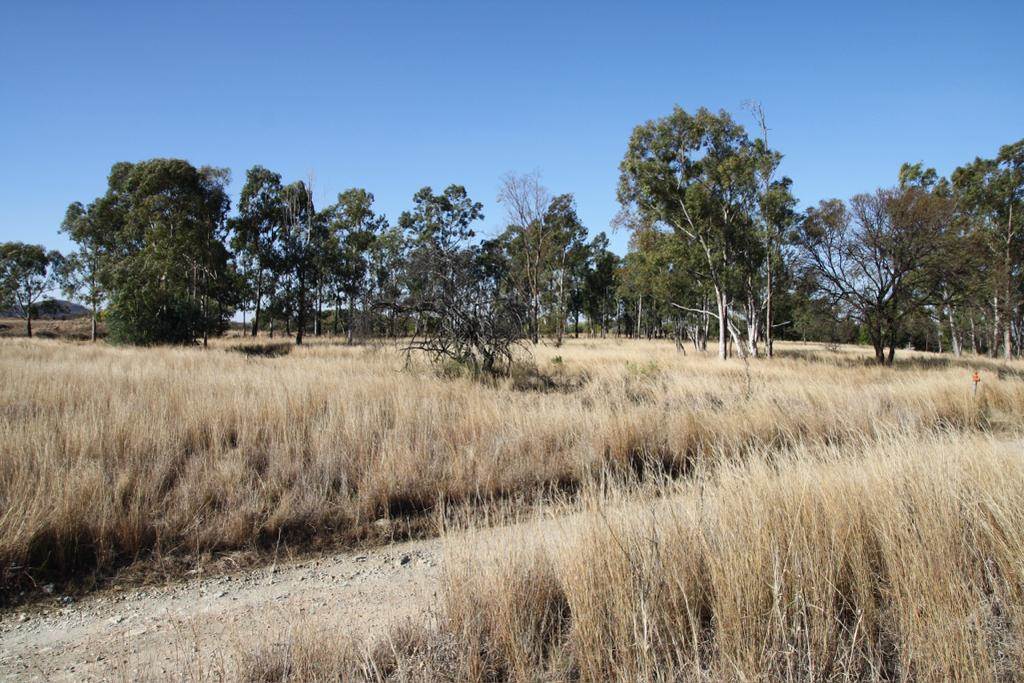 3.1 ha Land available in Sterkfontein and surrounds photo number 10
