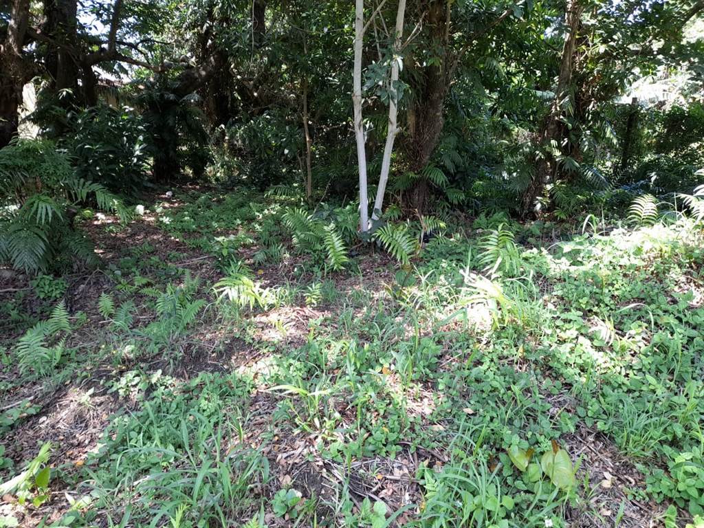 1742 m² Land available in Hibberdene photo number 12