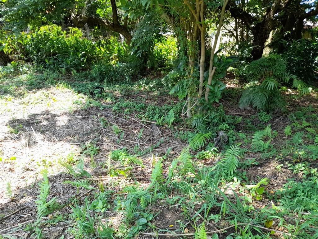 1742 m² Land available in Hibberdene photo number 11