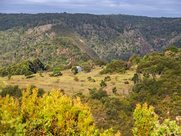 5 398 m² Land 5 398 m² Land