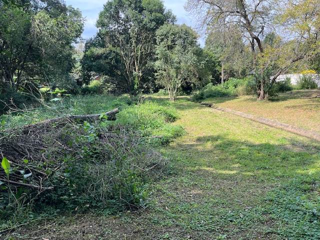 1710 m² Land available in Howick photo number 3