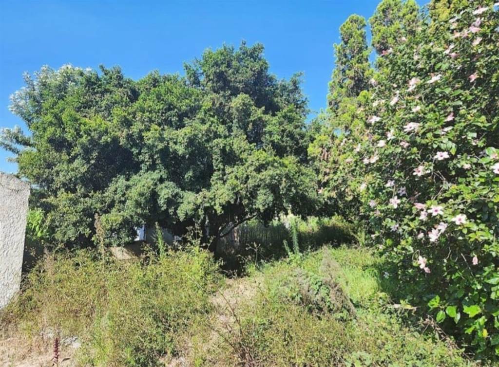 4084 m² Land available in Bryanston photo number 7
