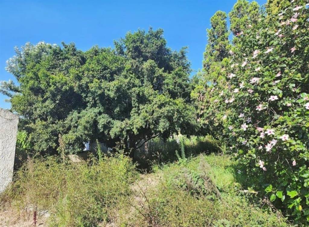 4084 m² Land available in Bryanston photo number 8