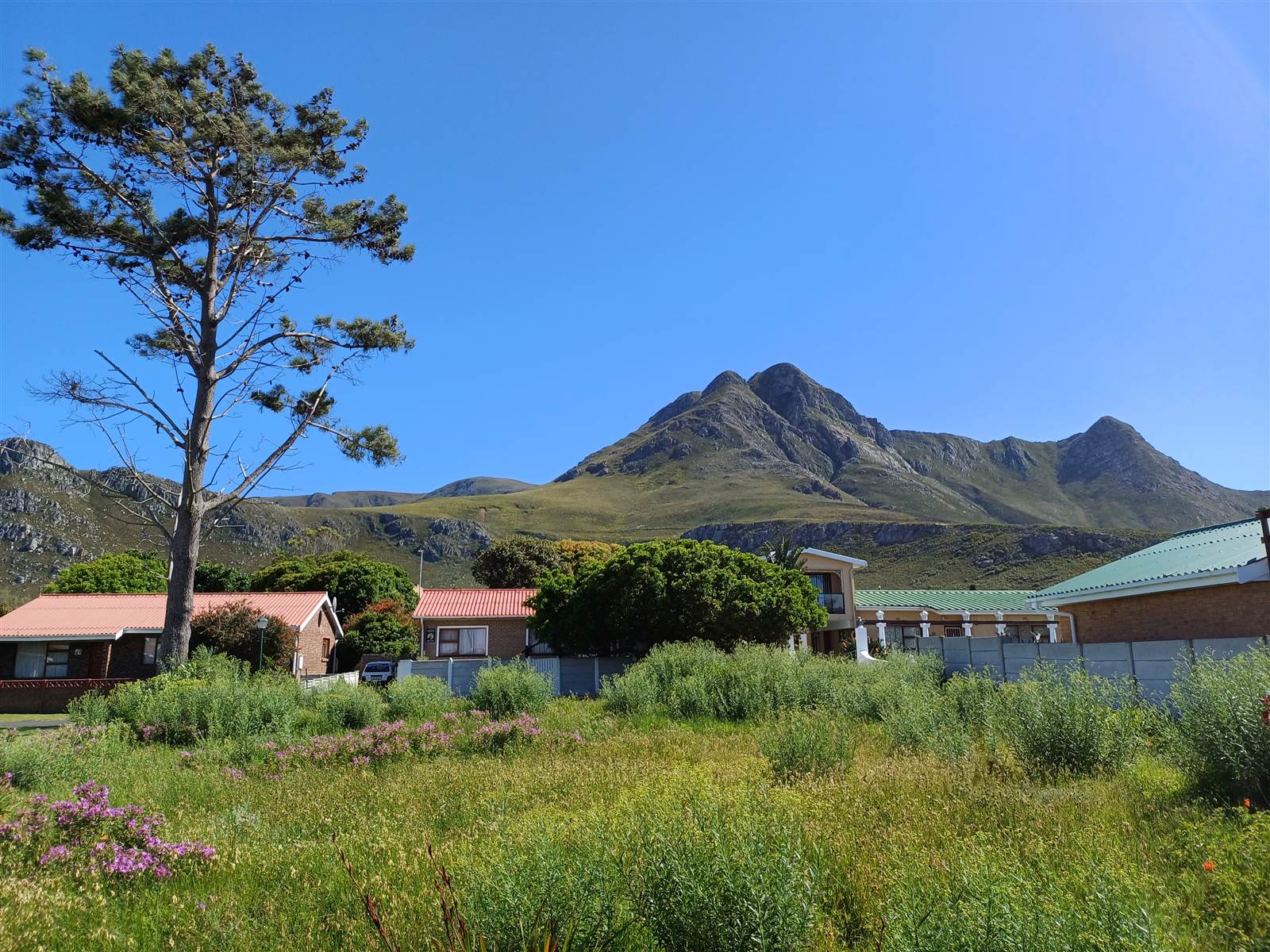595 m² Land available in Kleinmond photo number 5