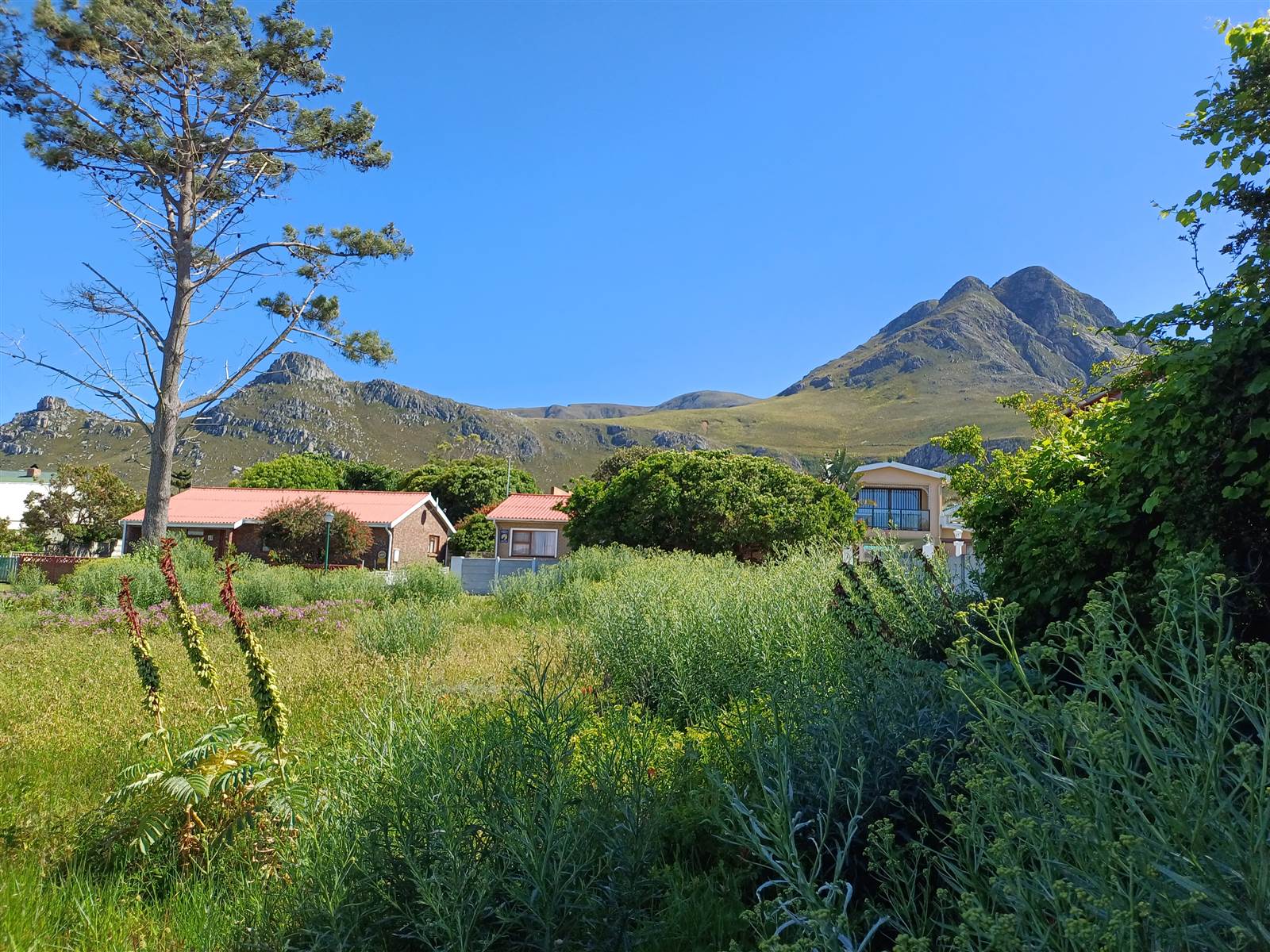595 m² Land available in Kleinmond photo number 4