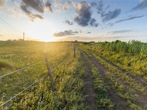 332 m² Land available in Sheffield Beach