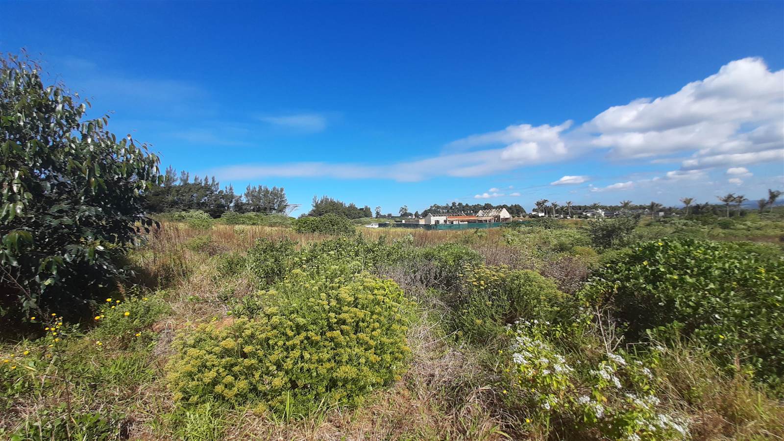 4601 m² Land available in Elaleni Coastal Forest Estate photo number 6