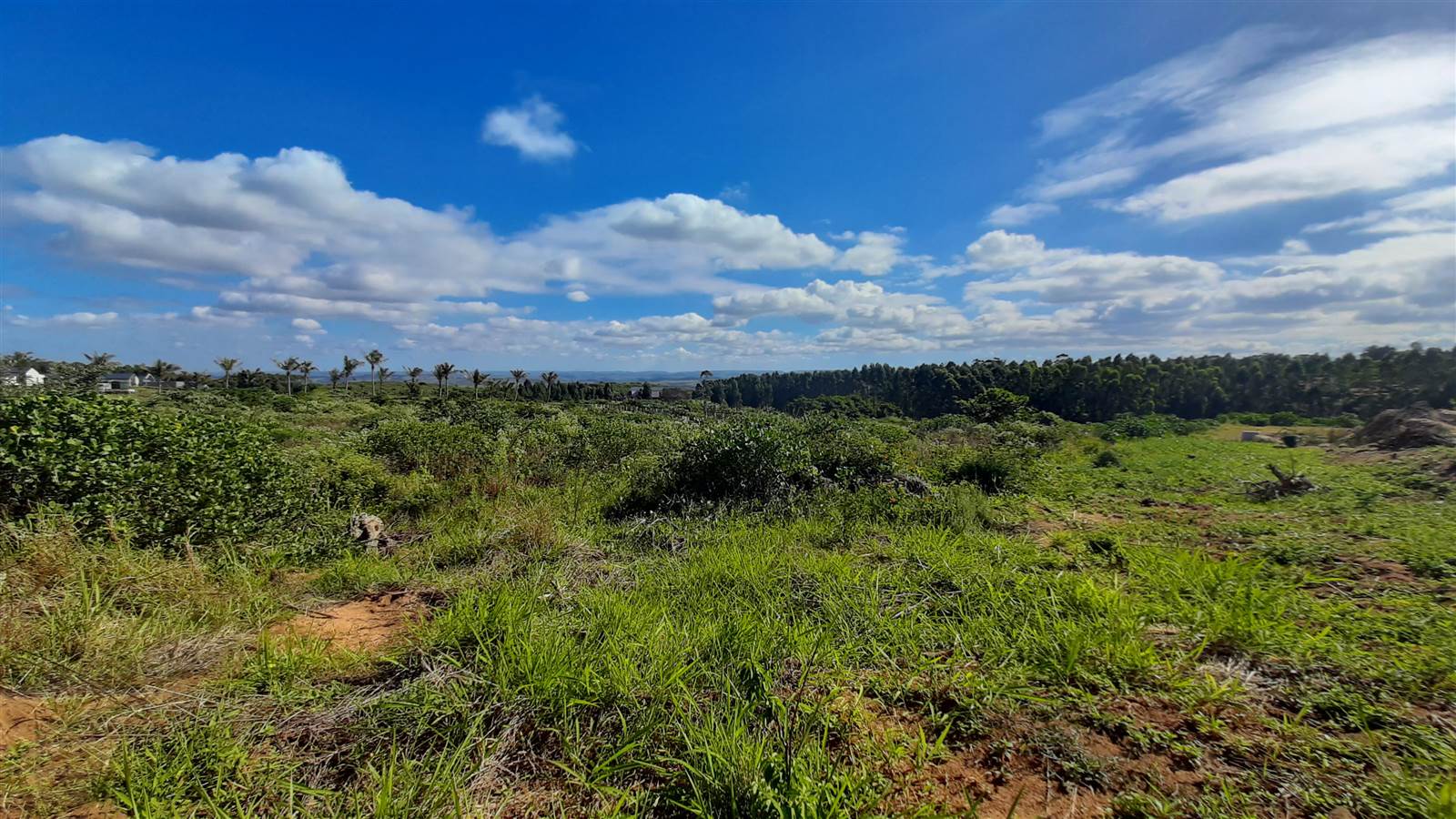 4601 m² Land available in Elaleni Coastal Forest Estate photo number 5