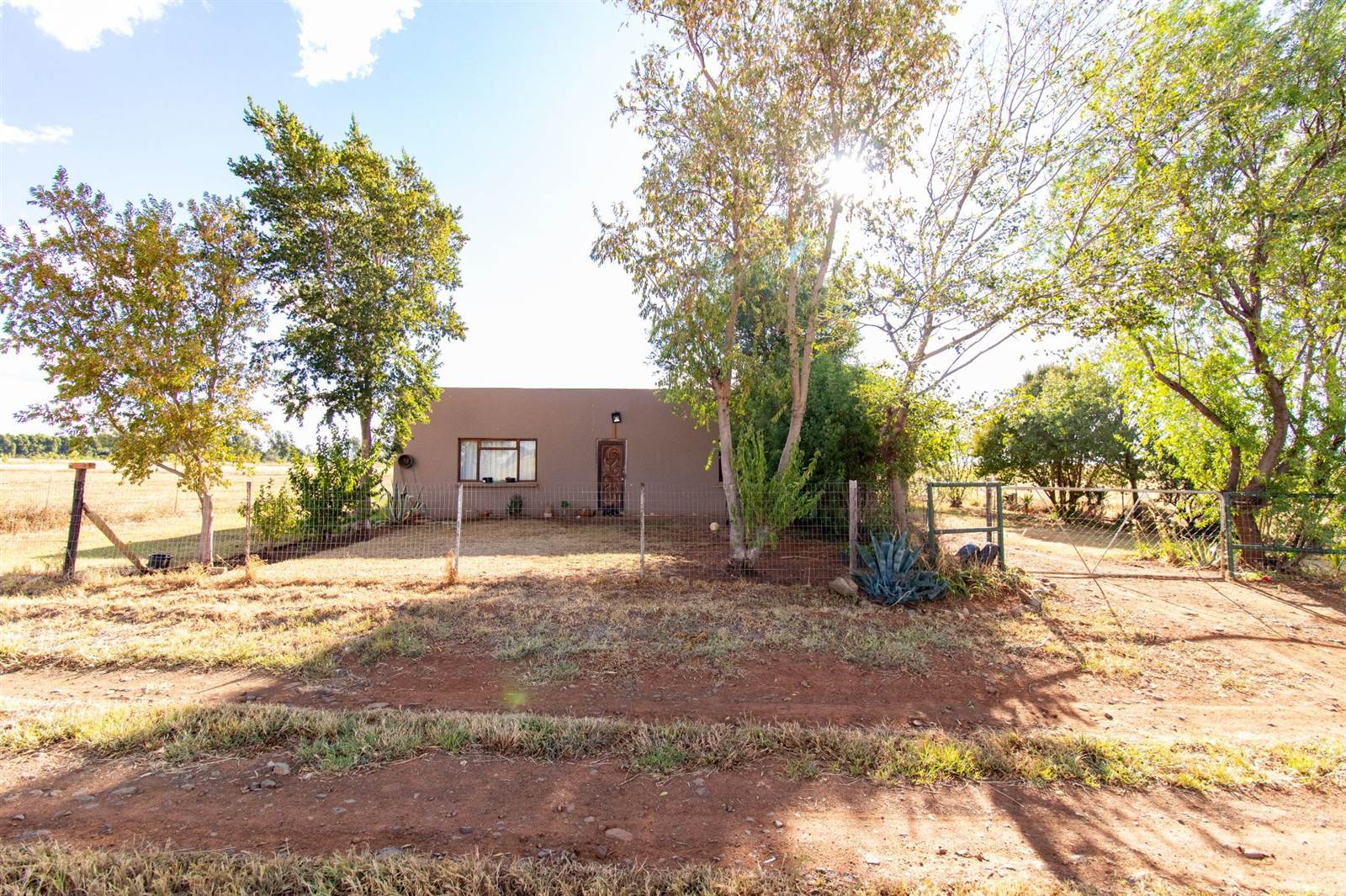 11.5 ha Smallholding in Bloemfontein Farms photo number 21