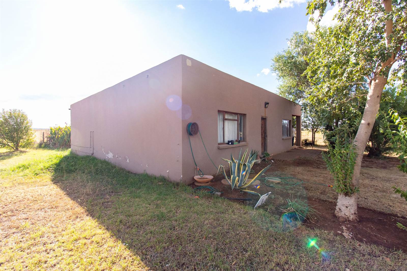 11.5 ha Smallholding in Bloemfontein Farms photo number 18