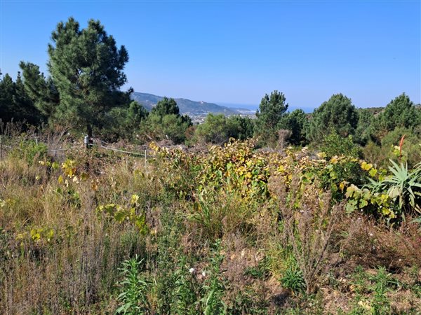 1.6 ha Farm