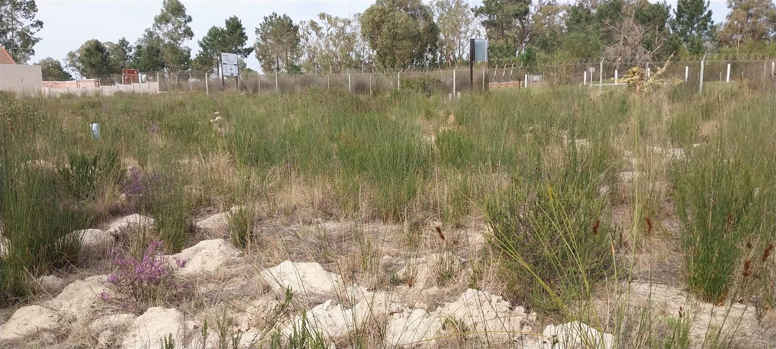 427 m² Land available in Albertinia photo number 2