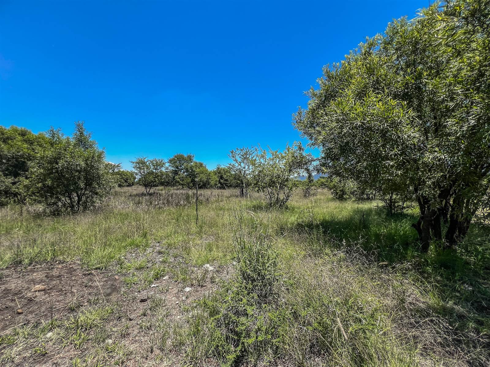 1071 m² Land available in Melodie photo number 3