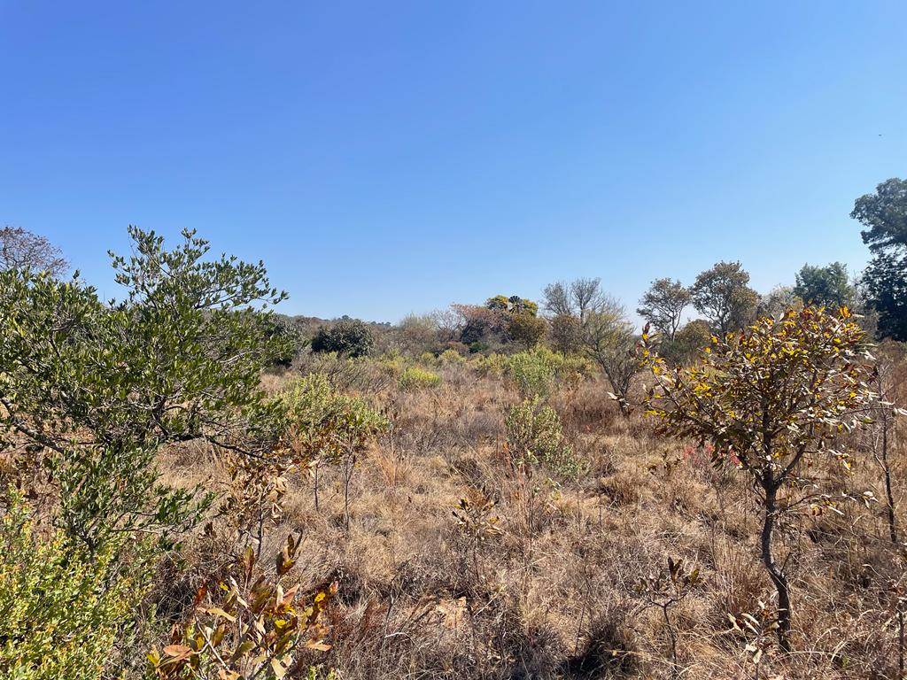 1.5 ha Land available in Zwavelpoort photo number 5
