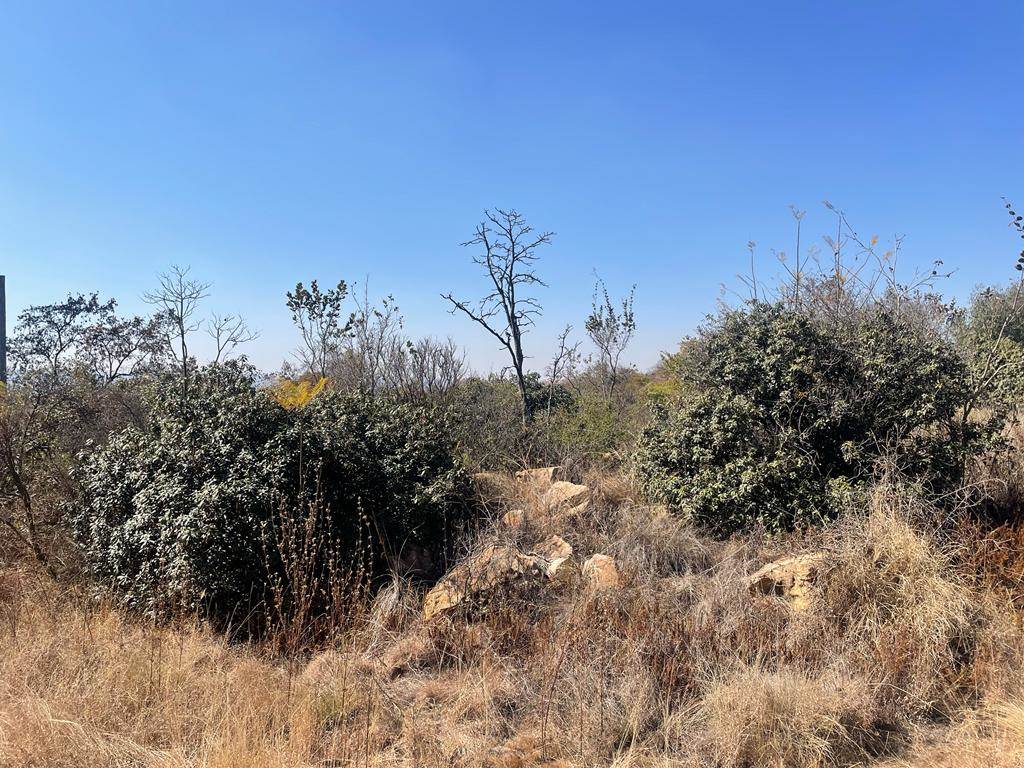 1.5 ha Land available in Zwavelpoort photo number 4