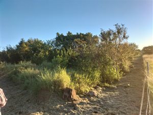 1.9 ha Farm in Strydfontein and surrounds