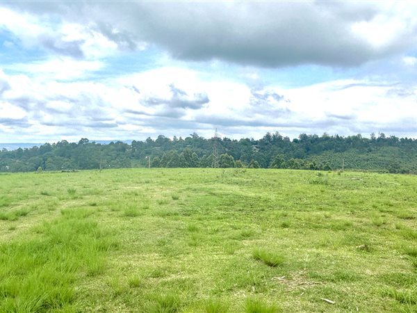 45 ha Smallholding