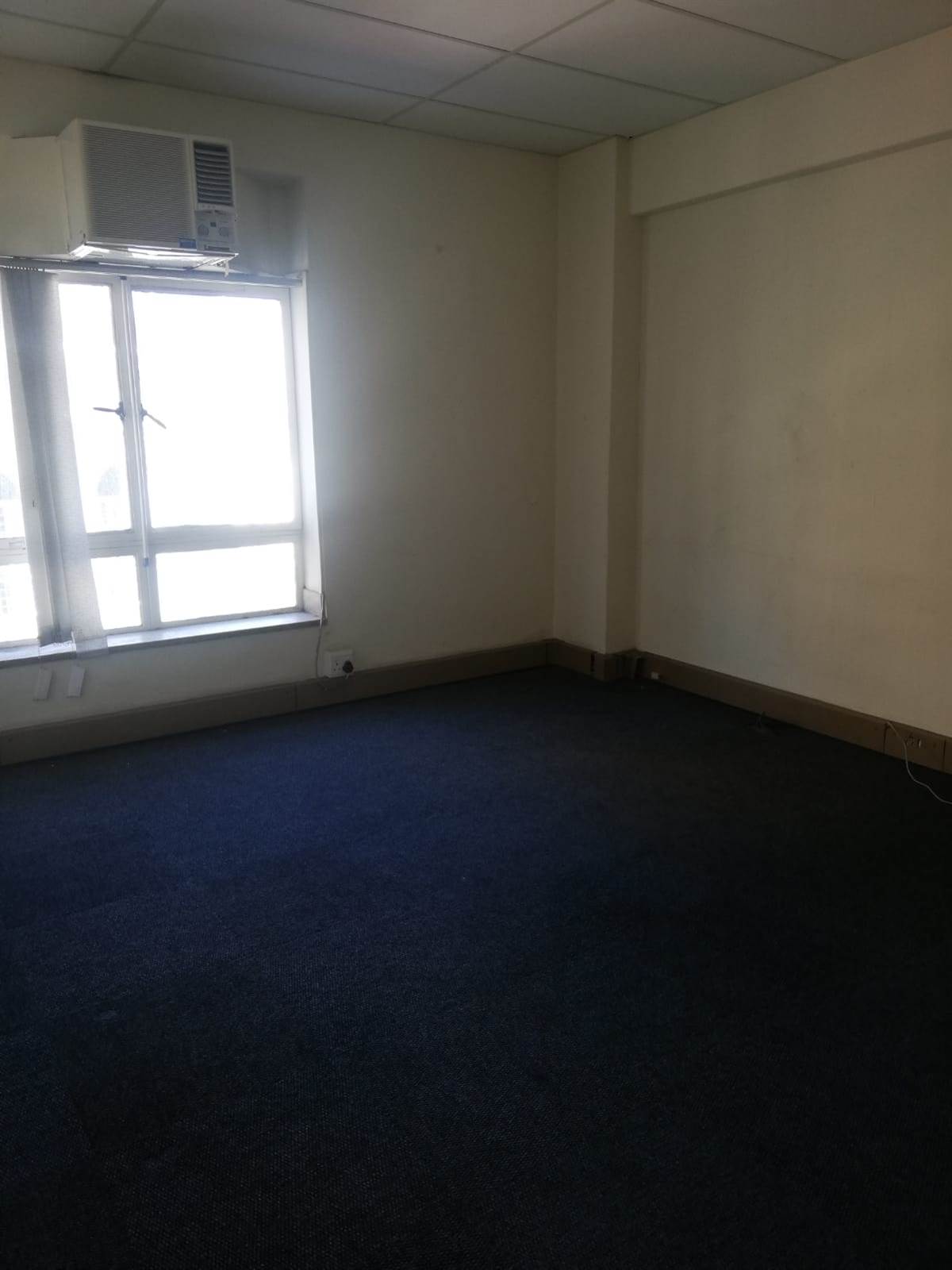 222  m² Office Space in Cape Town City Centre photo number 10