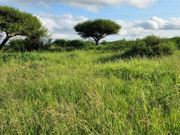 600 m² Land 600 m² Land