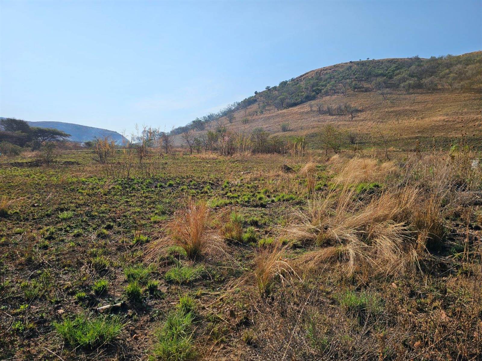 930 m² Land available in Lady Selborne photo number 15