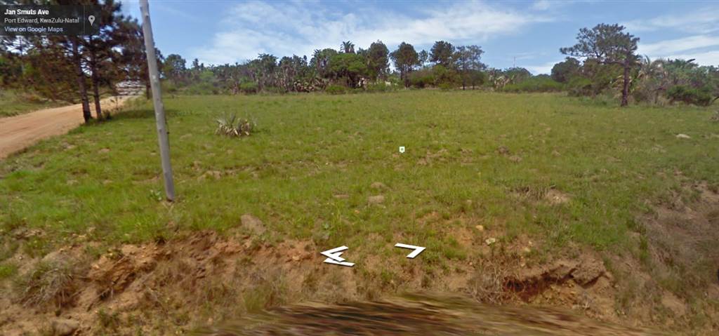 3885 m² Land available in Palm Beach photo number 2